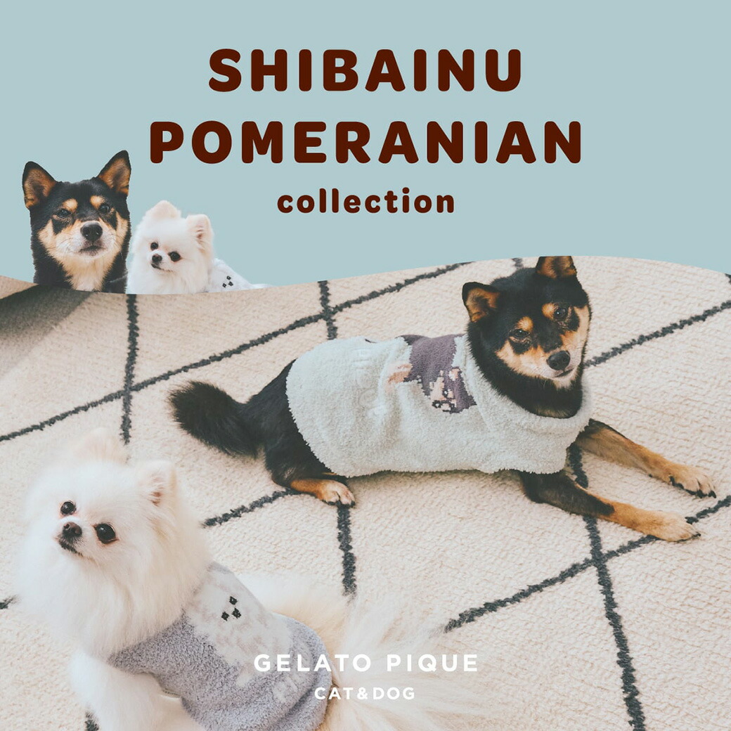 楽天市場】SALE40%OFF gelato pique kids ジェラートピケ キッズ KIDS