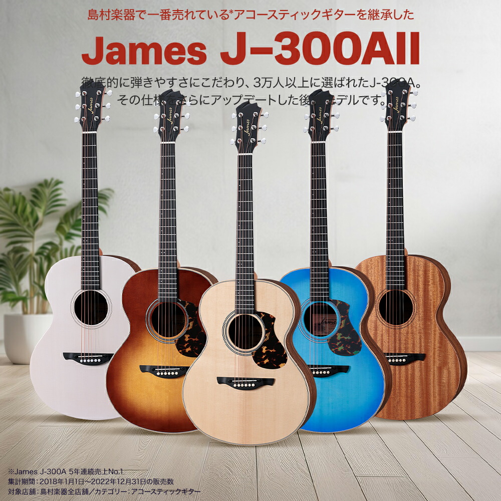 楽天市場】James J-300AII 単品・初心者12点セット アコースティック