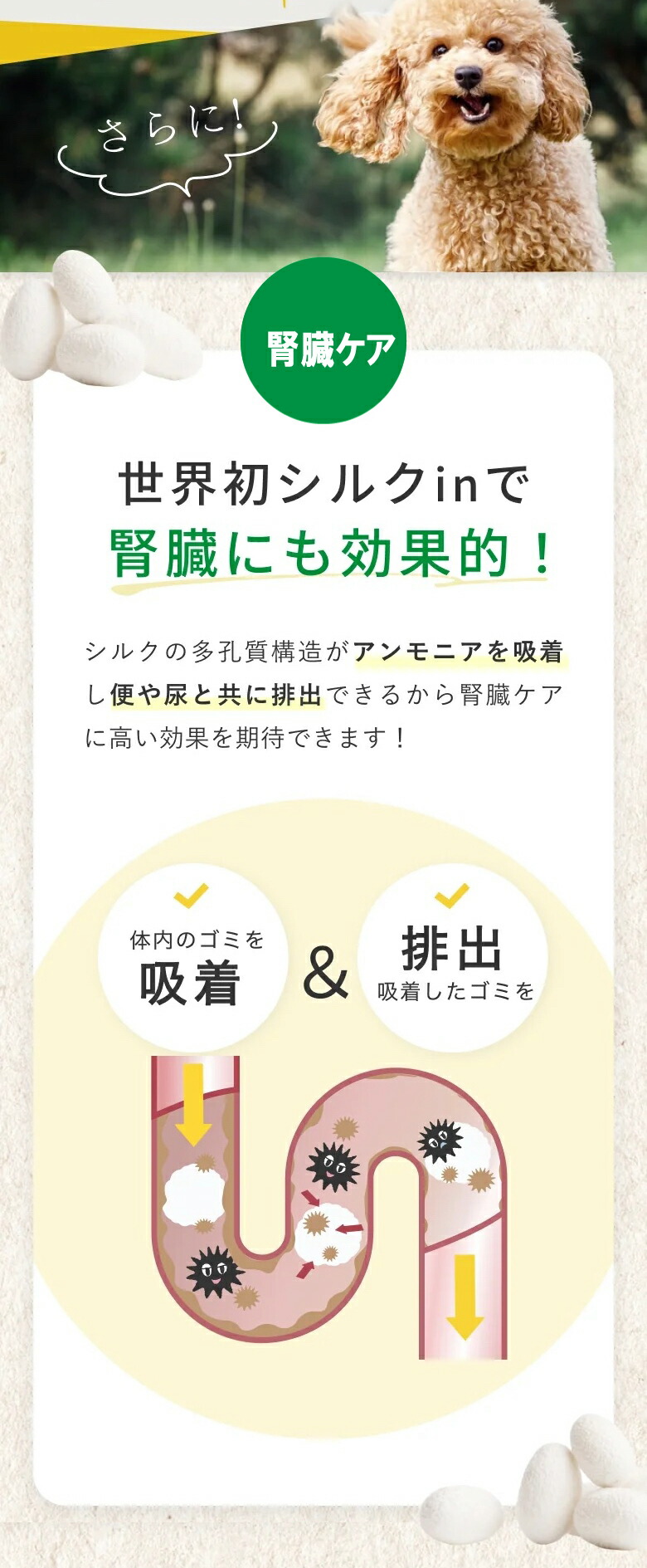 楽天市場】Cozy Milk コージーミルク カラダシルクin 200g 甘酒 腎臓