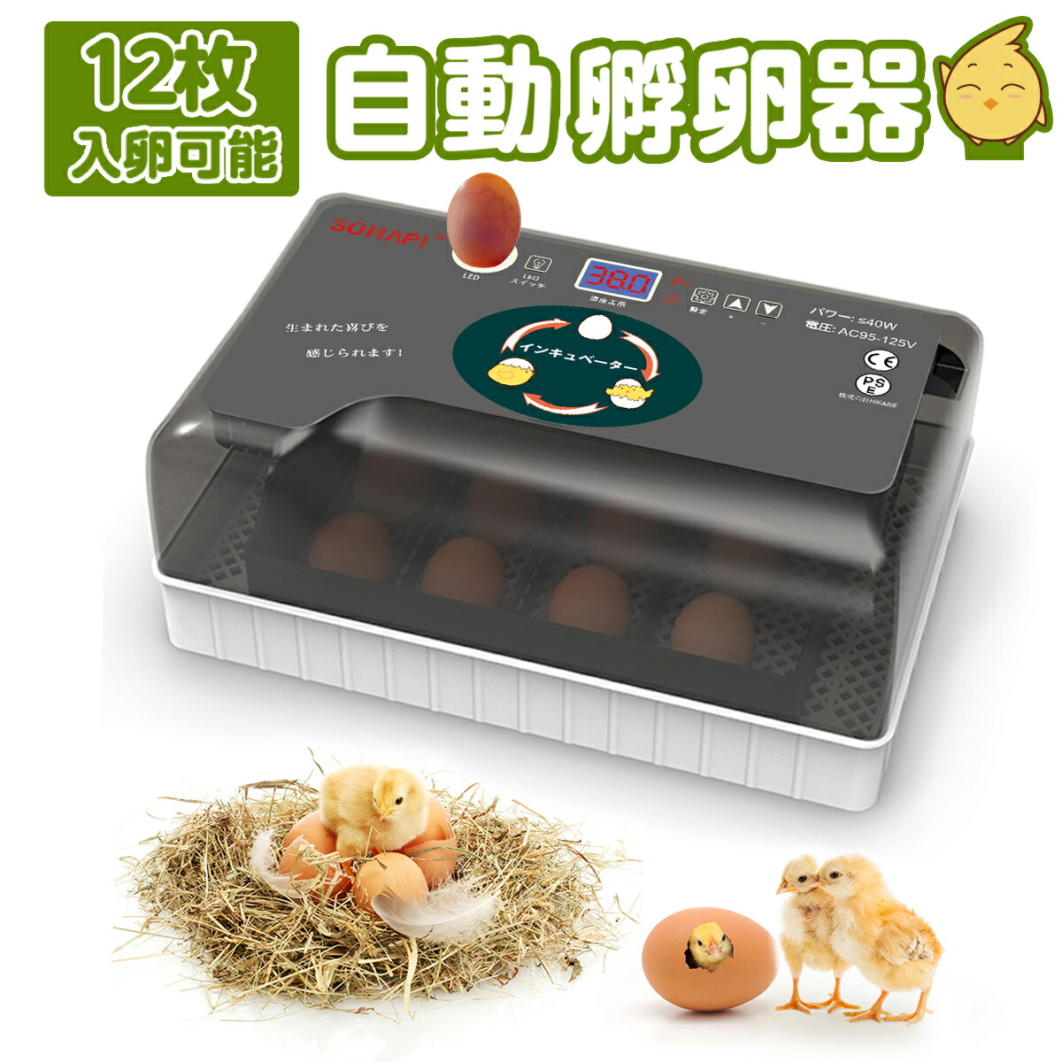 楽天市場】爬虫類用孵卵器 レプタイル プロ90 ジュラゴン : eバード