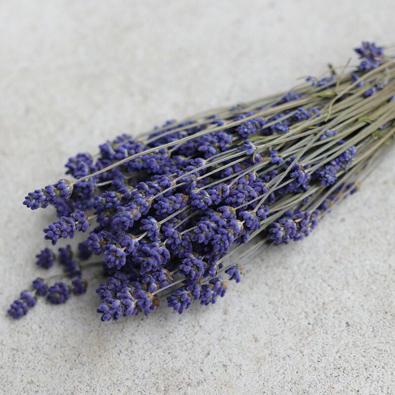 楽天市場】北海道富良野産 ラベンダー ドライフラワー ＊ 濃紫3号