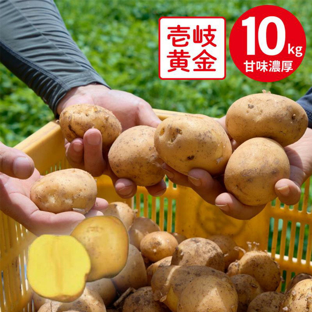 楽天市場】JA壱岐市 壱岐黄金 10kg 予約販売 じゃがいも インカの