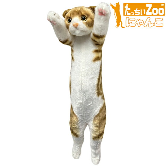 楽天市場】たっちぃZoo にゃんこ スコティッシュフォールド 猫の