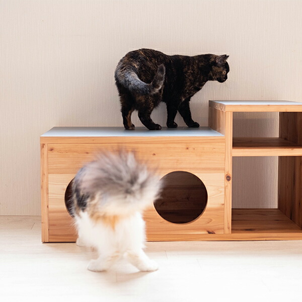楽天市場】ローテーブル 猫用 キャットハウス付き センターテーブル 猫