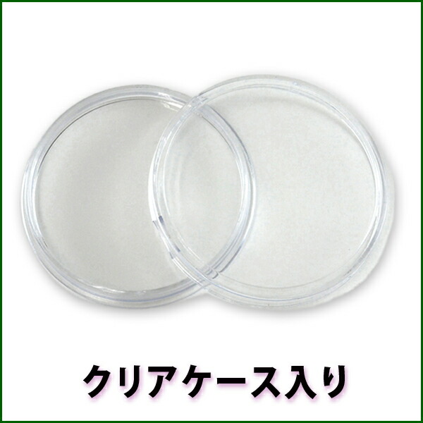 楽天市場】※ポスト投函※【純銀コイン】バッファロー・インディアン銀貨