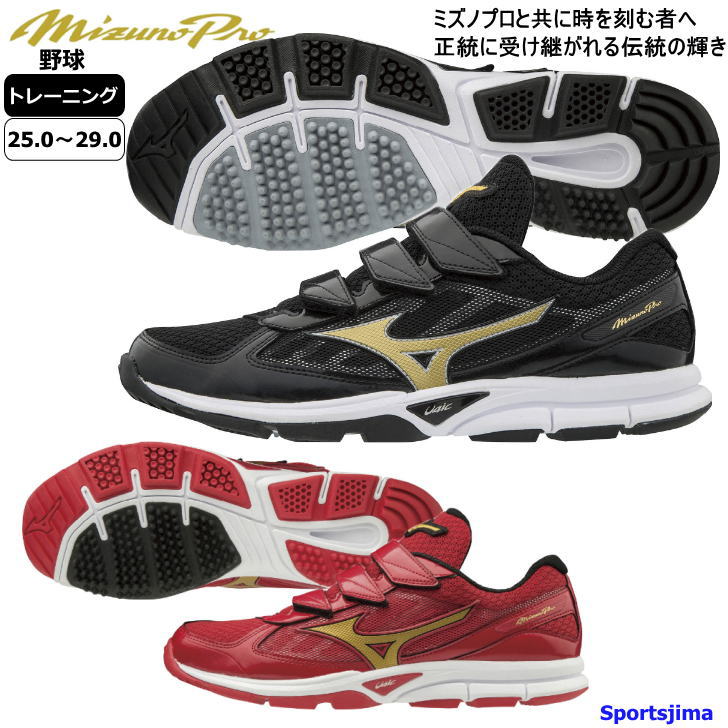 楽天市場】ミズノ シューズ メンズ トレーニングシューズ ミズノプロ