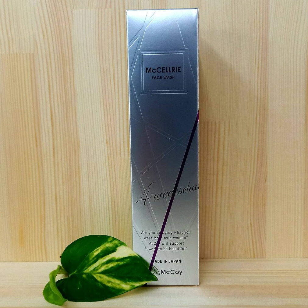 楽天市場】業務用マルチスチームウォーマー（ホットストーン/ハーブ