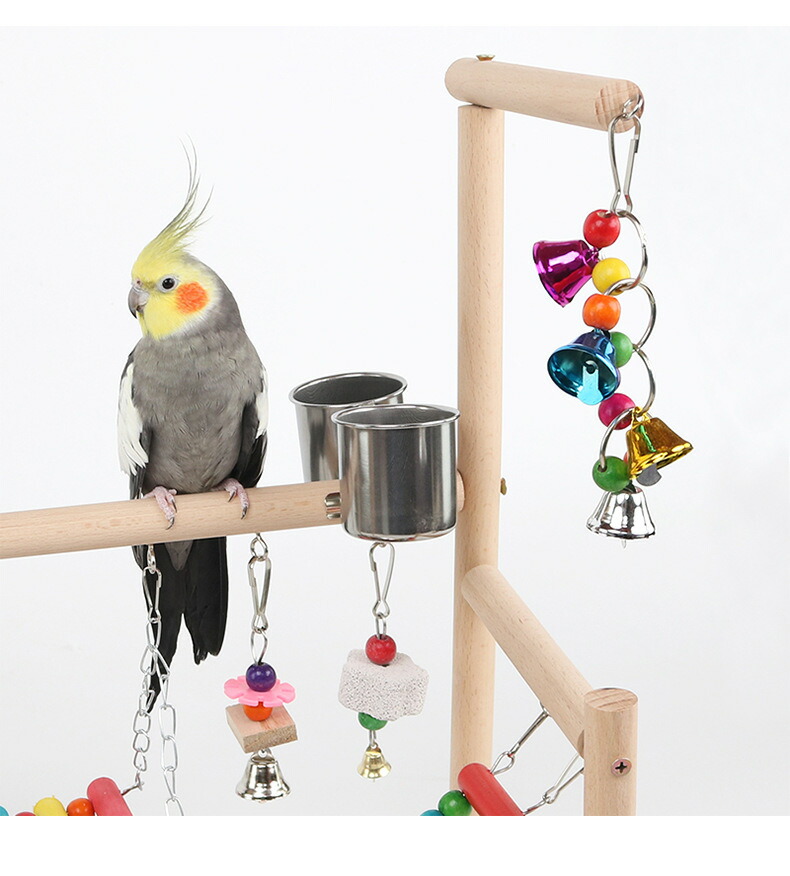 楽天市場】 インコ 遊び場 2層 バード アスレチック 玩具 スタンド