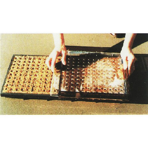 楽天市場】ニッテン ポットシーダー CP300 S-1粒 または M-1粒 または