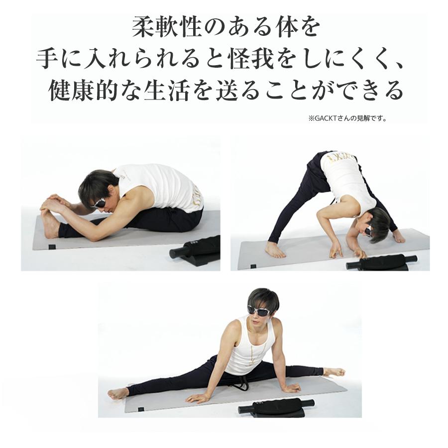 楽天市場】エクストラリリース ／ GACKTプロデュース ／ ストレッチ