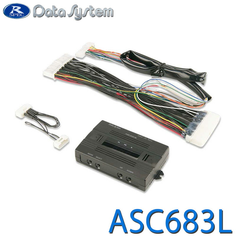 楽天市場】【必ずP5倍！ 当店限定 ～3/11 1:59迄】データシステム