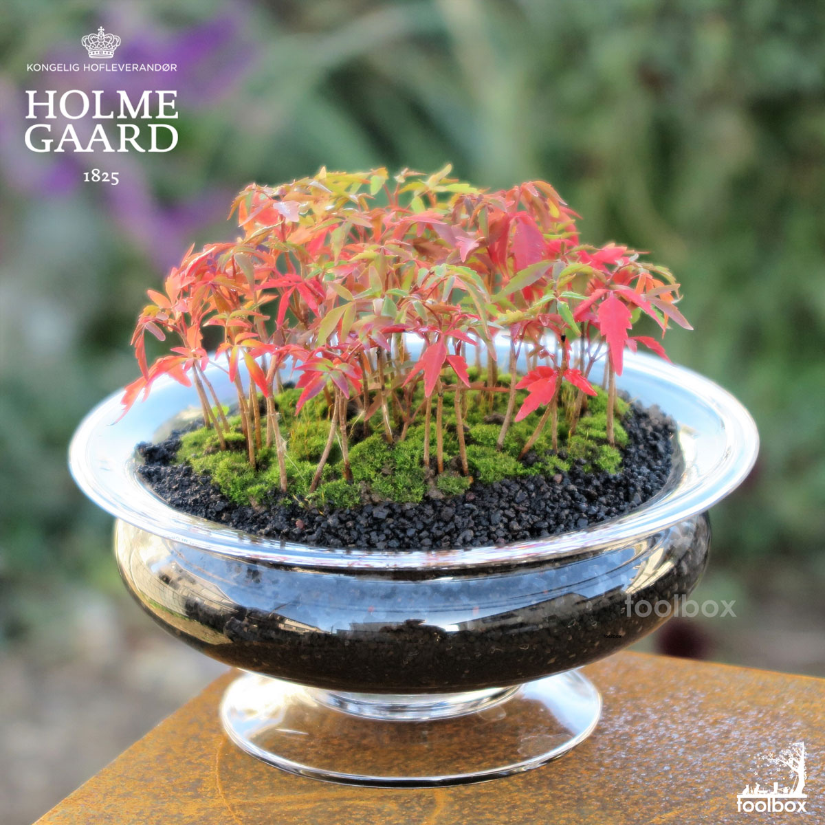 楽天市場】【HOLMEGAARD（ホルムガード）Old English Flower Bowl