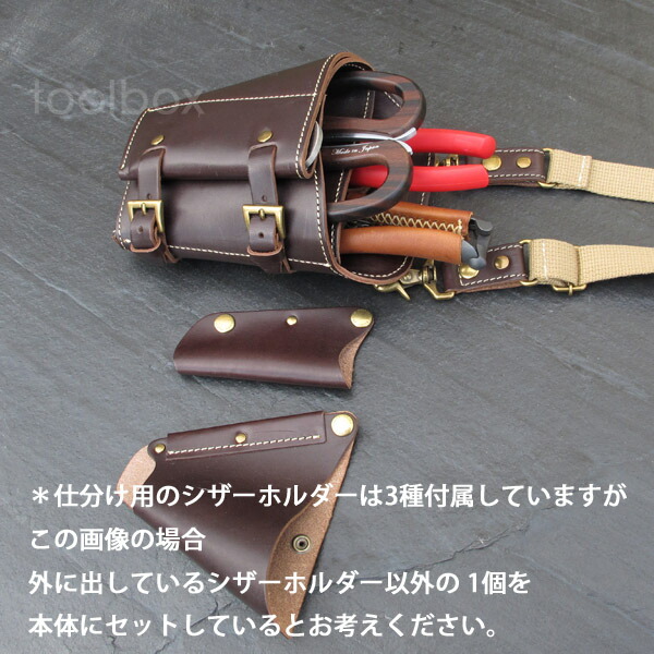 楽天市場】【LINEでクーポン配布中】【Sacra サクラ フローリスト