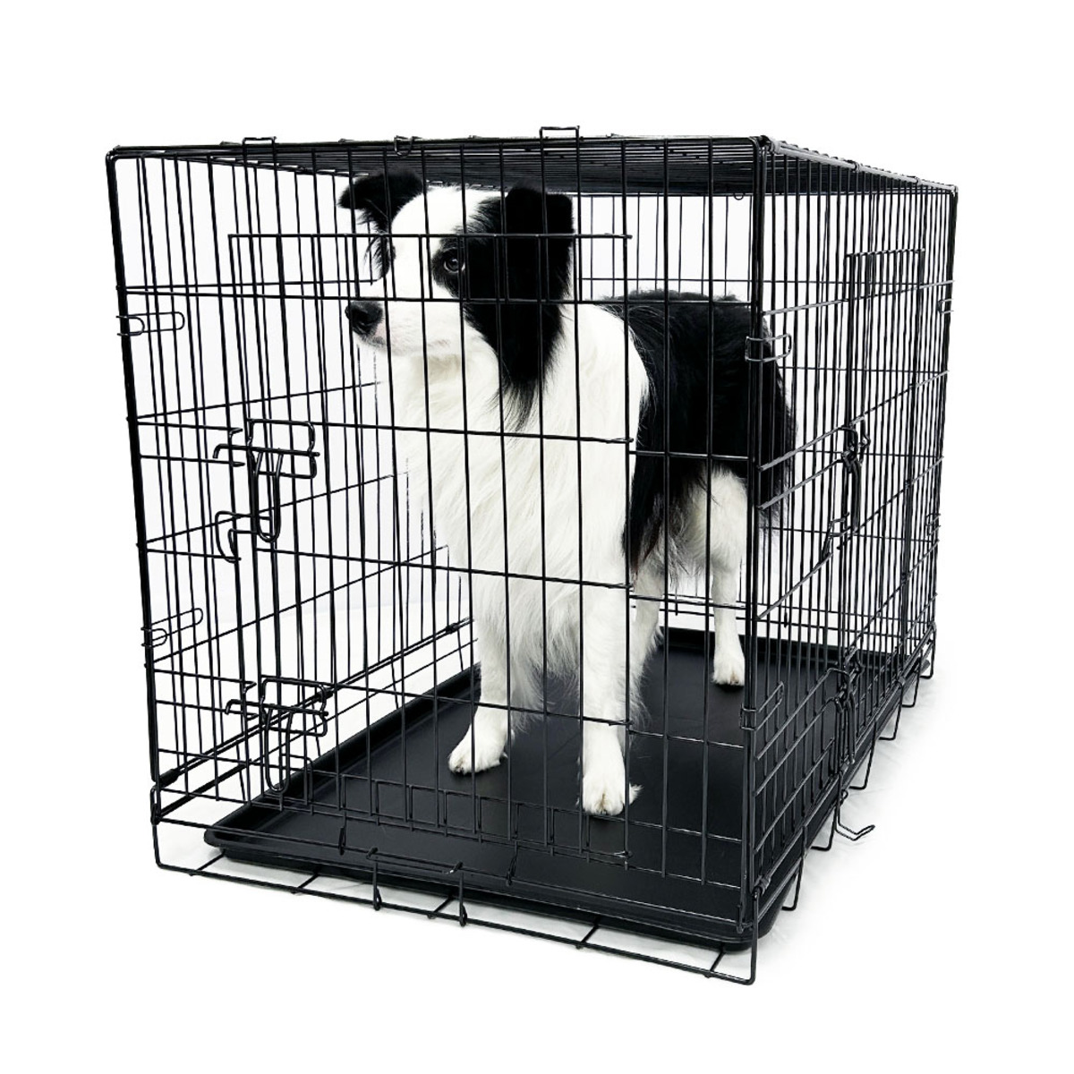 楽天市場】トムキャット トムクレイト4000 : トムキャット楽天市場店