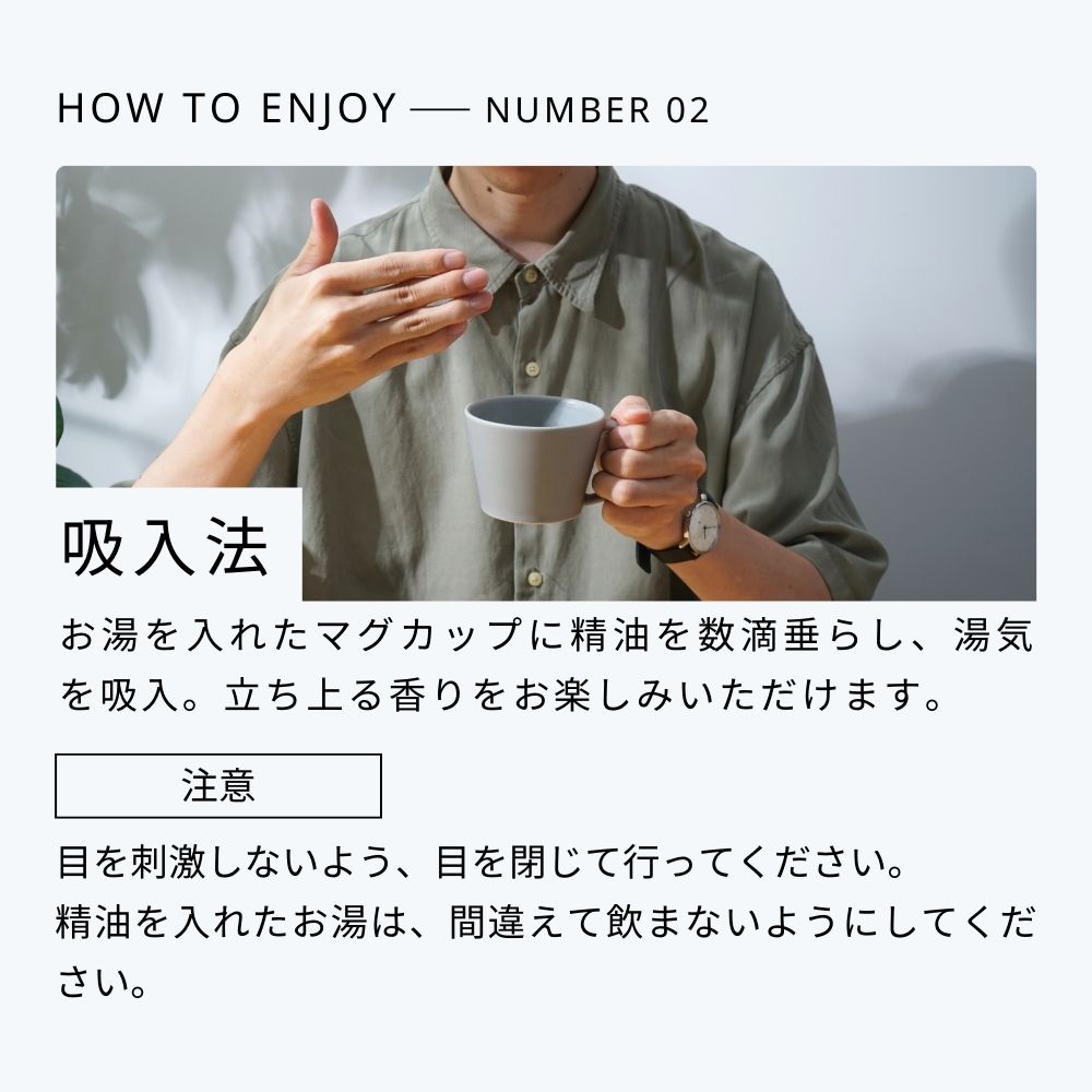 楽天市場】【 生活の木 公式 】☆50%OFFクーポン期間限定配布☆大人気