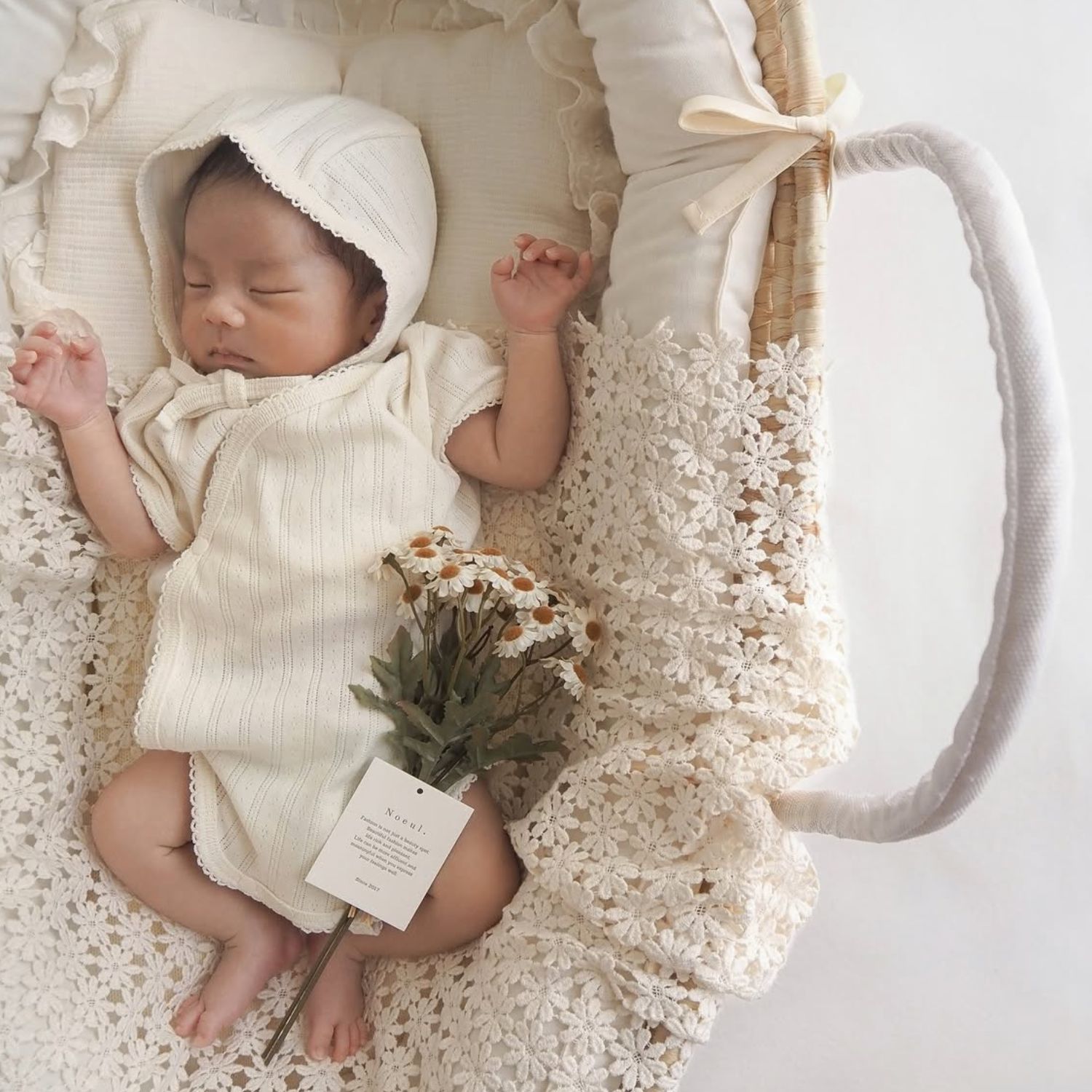 楽天市場】【3/10 11時頃再入荷】【1点までネコポス可】garden flower