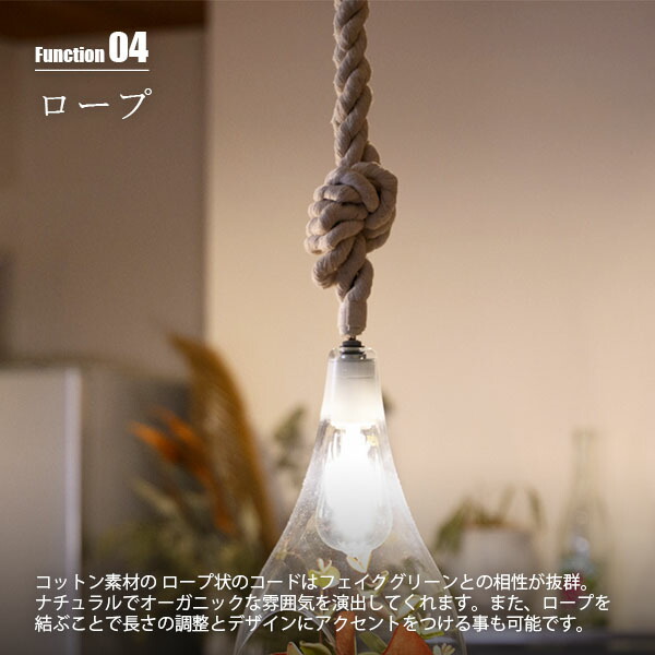 楽天市場】SWAN スワン電器 BOTANIC HANGING LIGHT with FAKEGREEN L