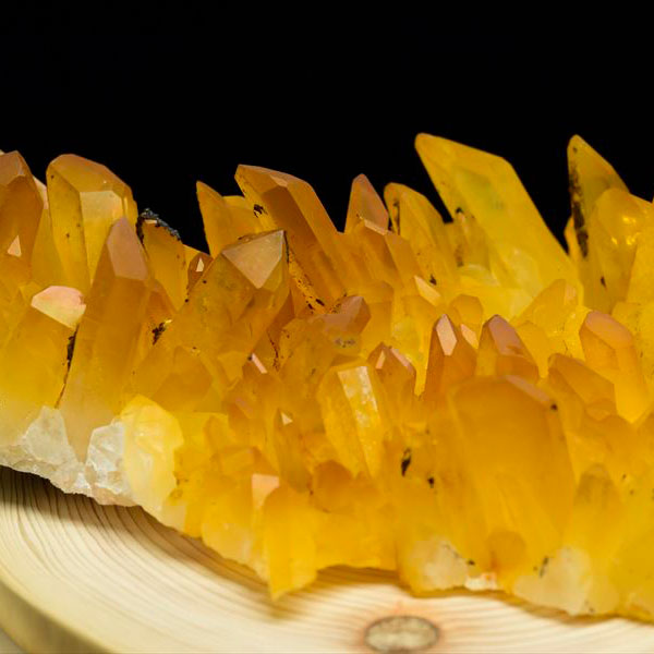 楽天市場】ゴールデンヒーラークラスターの通販