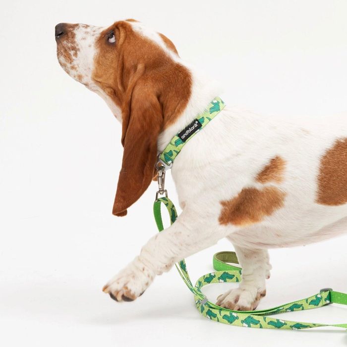 楽天市場】即納【andblank】ICONIC Lazy Crocodile Collar（Green