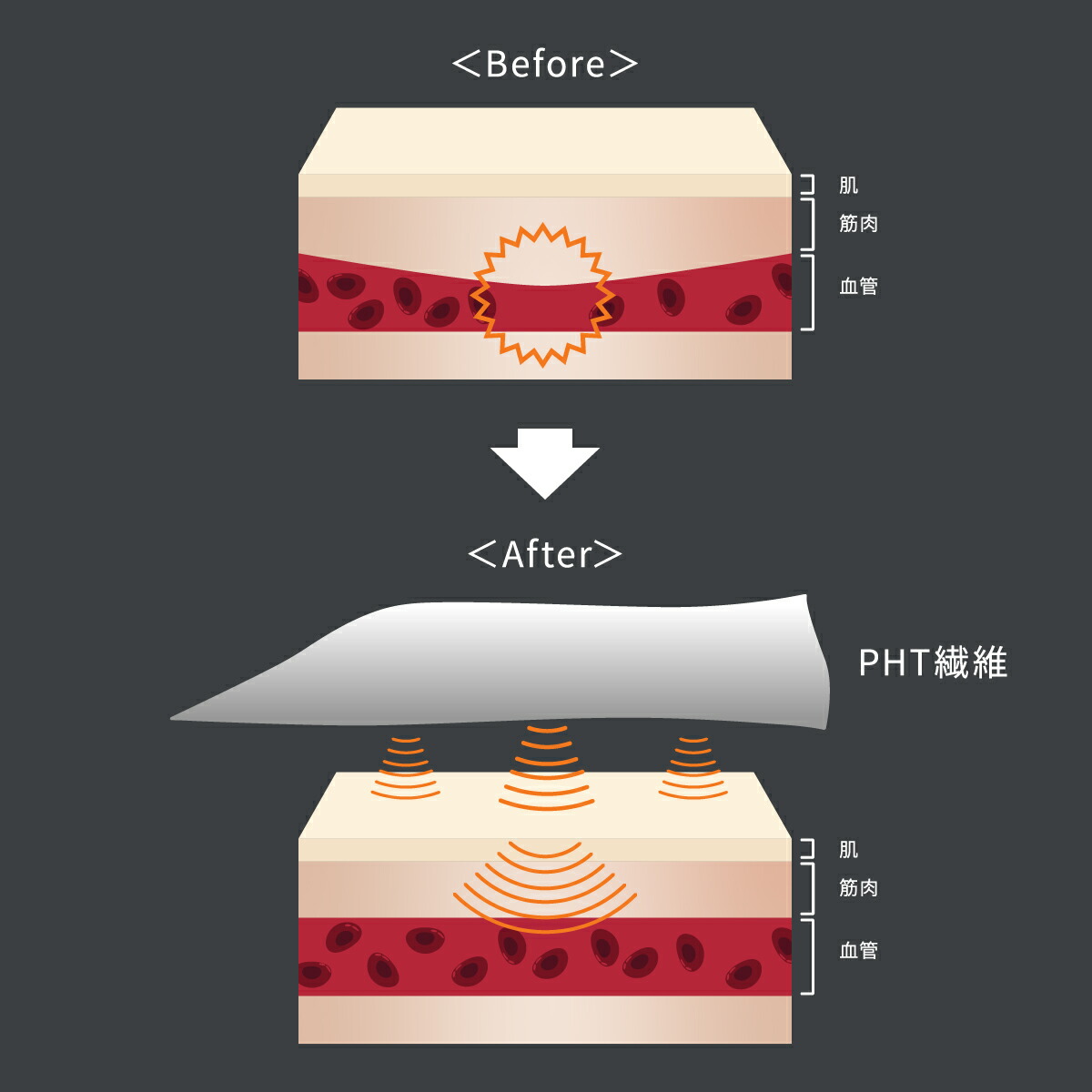 楽天市場】【SS期間中P10倍】ベネクス リカバリーウェア 【VENEX公式
