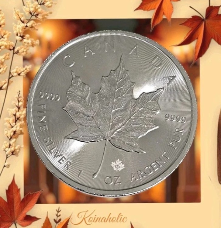 銀貨 1オンス メイプルリーフ」の人気商品一覧 | 安い商品を通販サイト