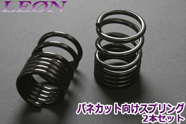 楽天市場】日正タイヤ リアスプリングの通販