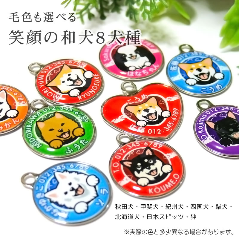 楽天市場】迷子札 笑い犬（和犬） 柴犬 秋田犬 甲斐犬 紀州犬 四国犬