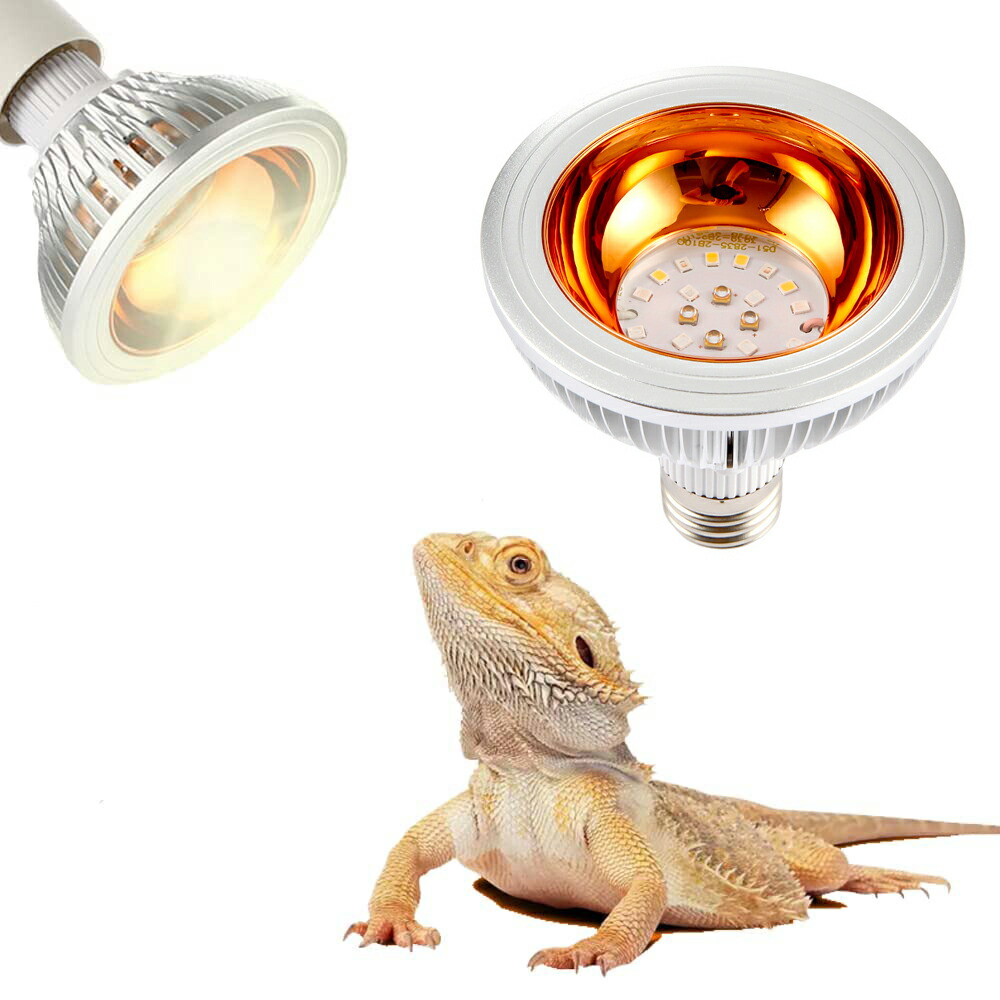 楽天市場】爬虫類 ライト 紫外線 爬虫類 バスキングライト 亀 ライト