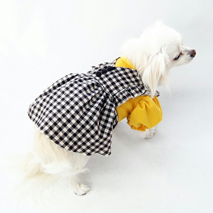 楽天市場】【胴長小型犬向け】重ね着風ドールワンピース型紙 : CELEBDOG