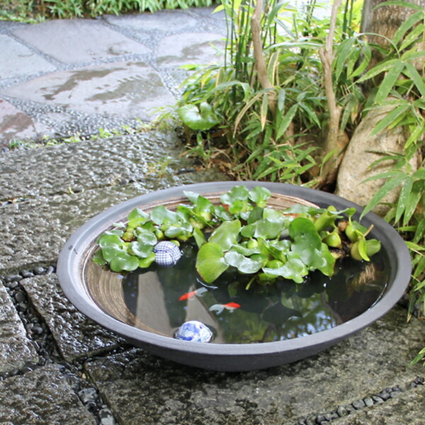楽天市場】【今だけ限定15%OFFクーポン配布中】睡蓮鉢 大型 メダカ鉢