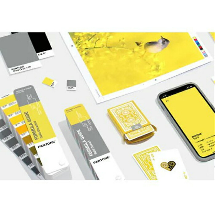 楽天市場】PANTONE 色見本 パントン GP1601A 2021年 限定版