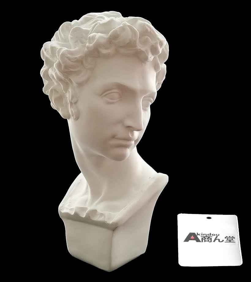 楽天市場】【楽天ランキング1位入賞】自宅が美術館 石膏像風 人物像