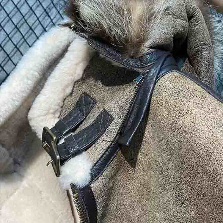 楽天市場】Wフェイス ラムムートンジャケット ラクーンファー襟 フード