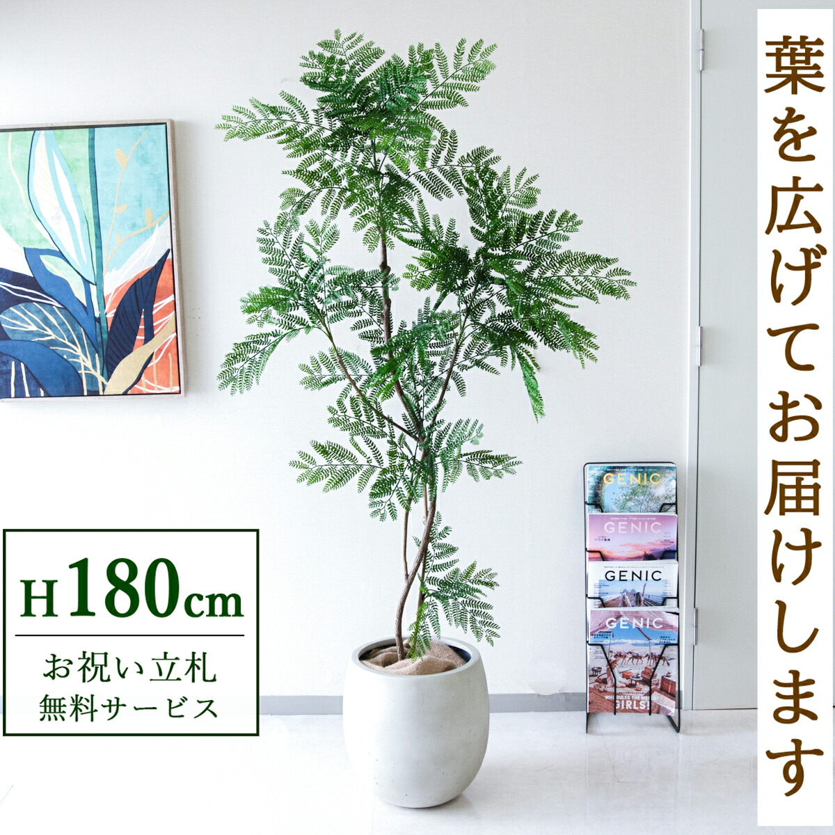 観葉植物エバーフレッシュ」の人気商品一覧 | 安い商品を通販サイト