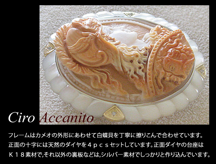 楽天市場】希少 Ciro Accanito作 コルネリアン シェル カメオ 白蝶貝