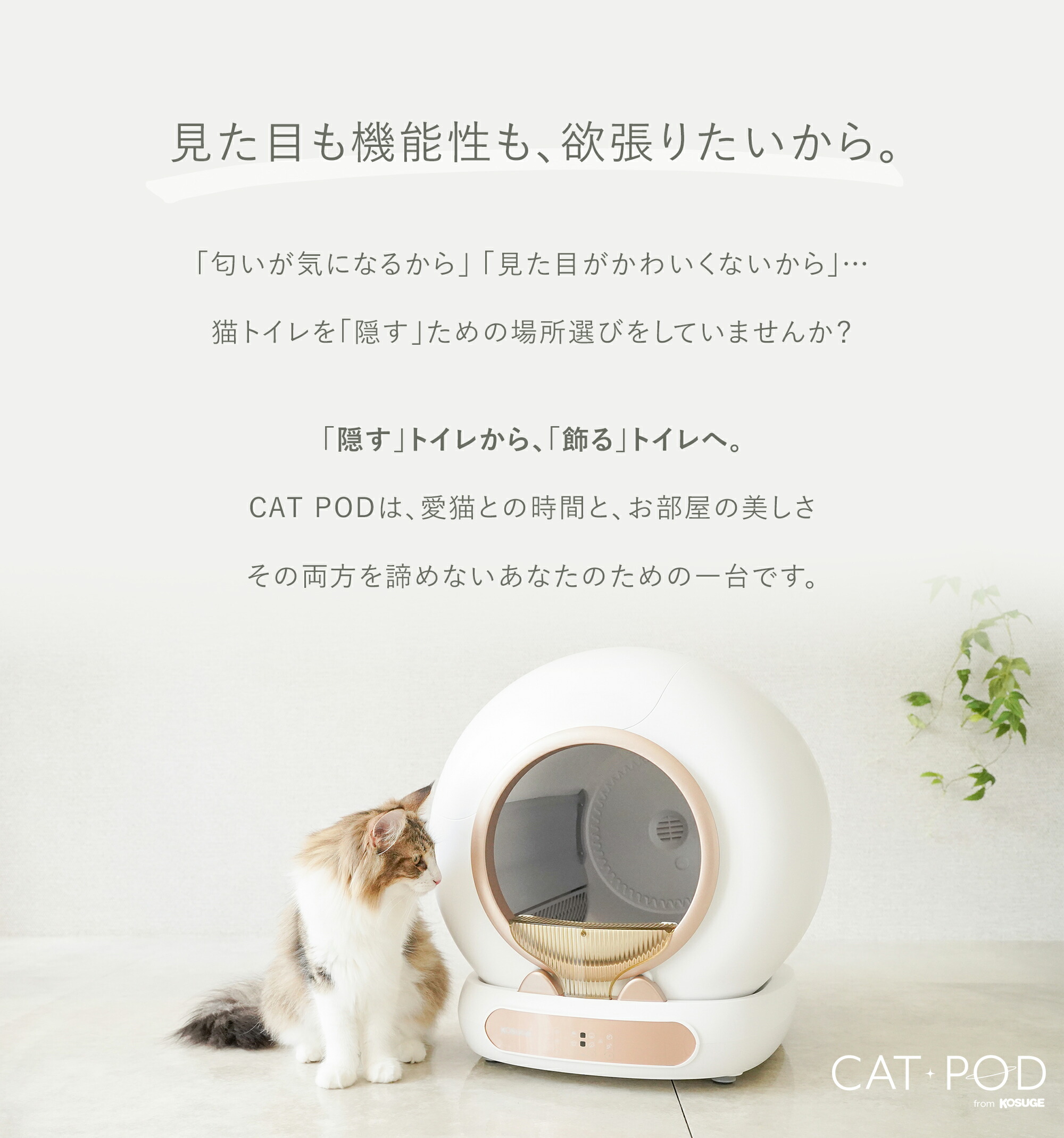 楽天市場】[2025年冬発売開始] CAT POD キャットポッド スマート自動猫