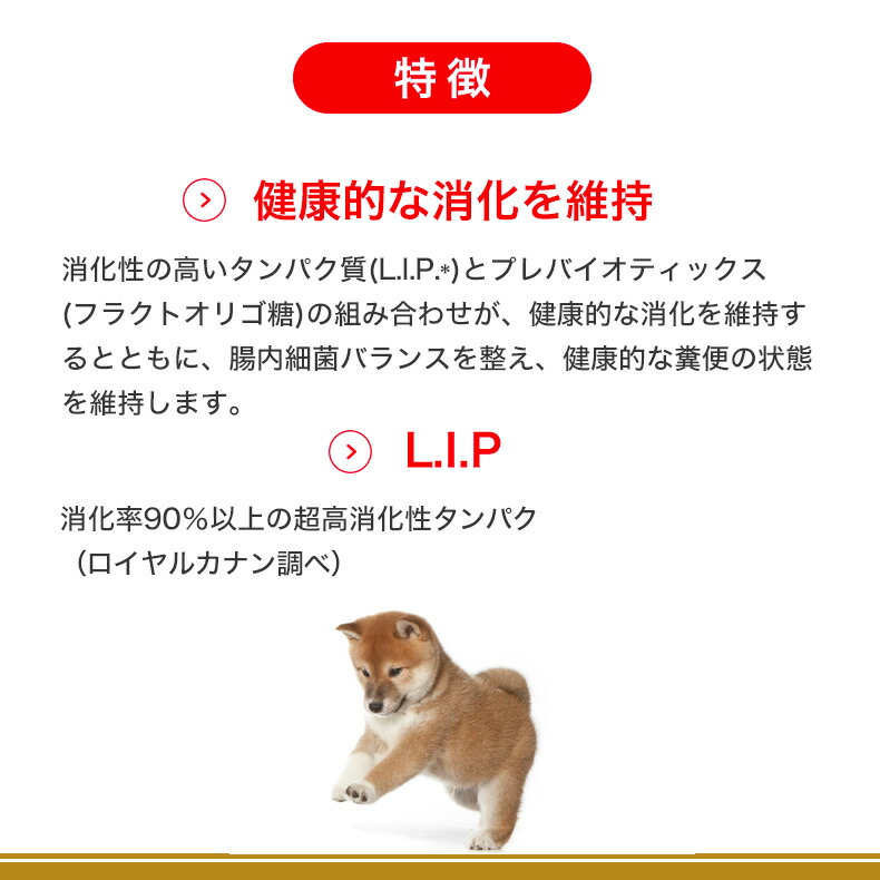 楽天市場】【LINE追加で500円OFF！】ロイヤルカナン 柴犬 子犬用 3kg