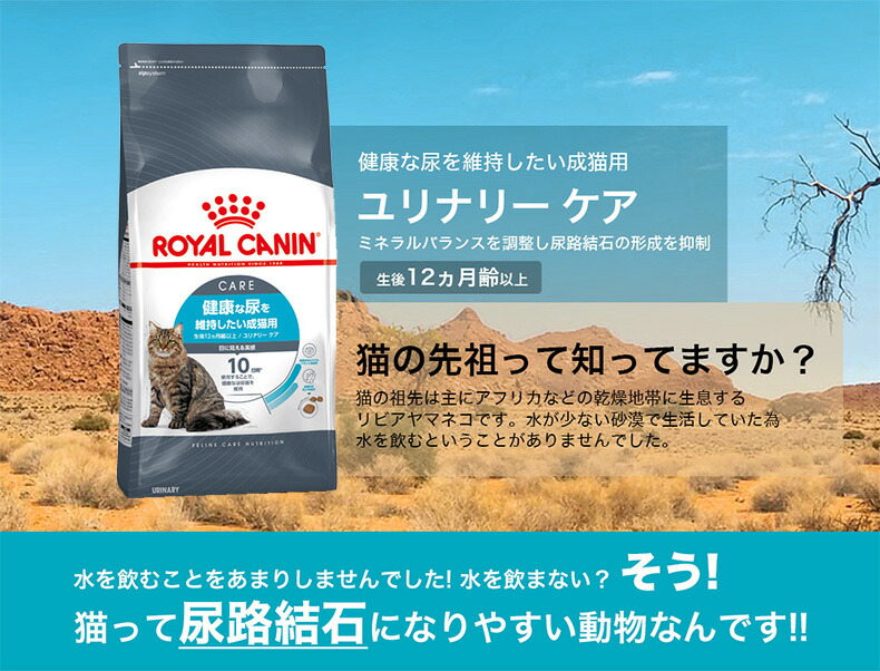 楽天市場】【3/5(木)限定！抽選で最大100%P還元※要ｴﾝﾄﾘｰ｜LINE追加で