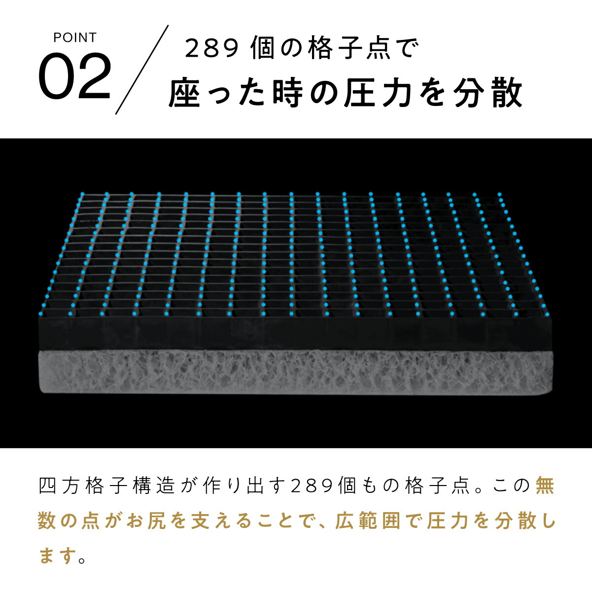 楽天市場】【最大15%OFF+さらにクーポンでお得！】 ヒツジのいらない尻