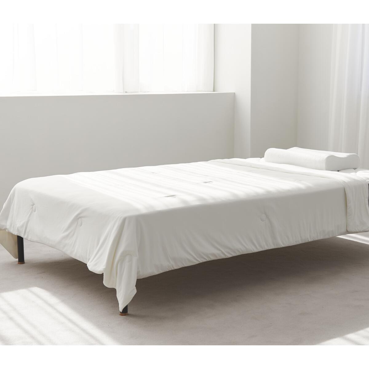 楽天市場】【最大15%OFF+さらにクーポンでお得！】 ヒツジのいらない