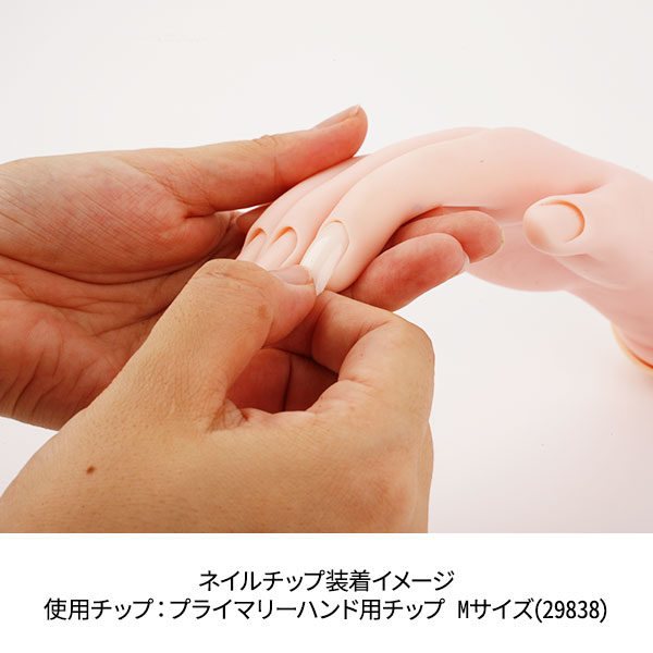 楽天市場】ネイル ハンド 練習 トレーニングハンド 右手 練習用 手 指