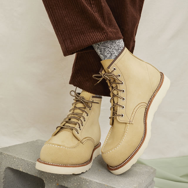 楽天市場】☆3/6-11限定！ポイント最大38倍！要エントリー！【返品交換