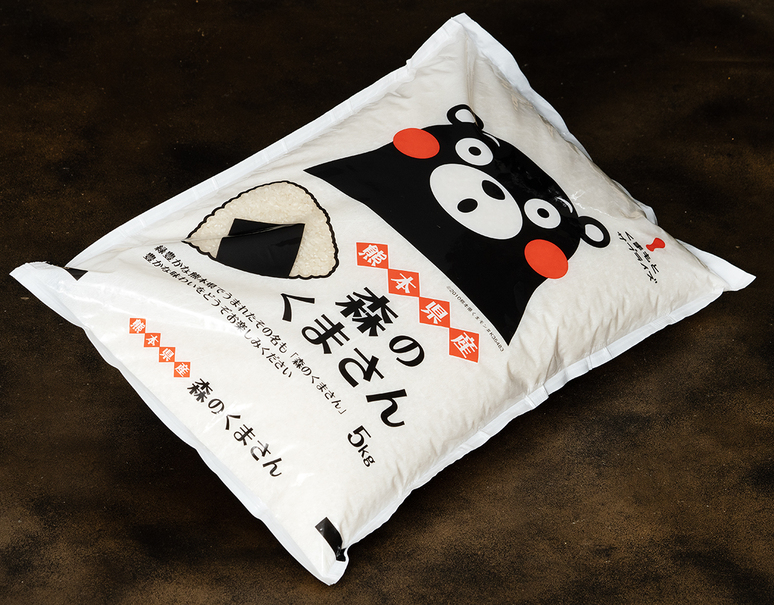 令和7年度産】「森のくまさん」 熊本県産 白米 5kg×2袋 ※常温｜豊洲