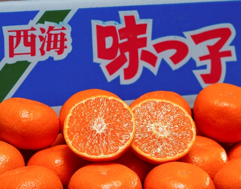 糖度13度以上「味っ子みかん」長崎県産 マル秀〜秀 S〜L 約2.5kg 化粧