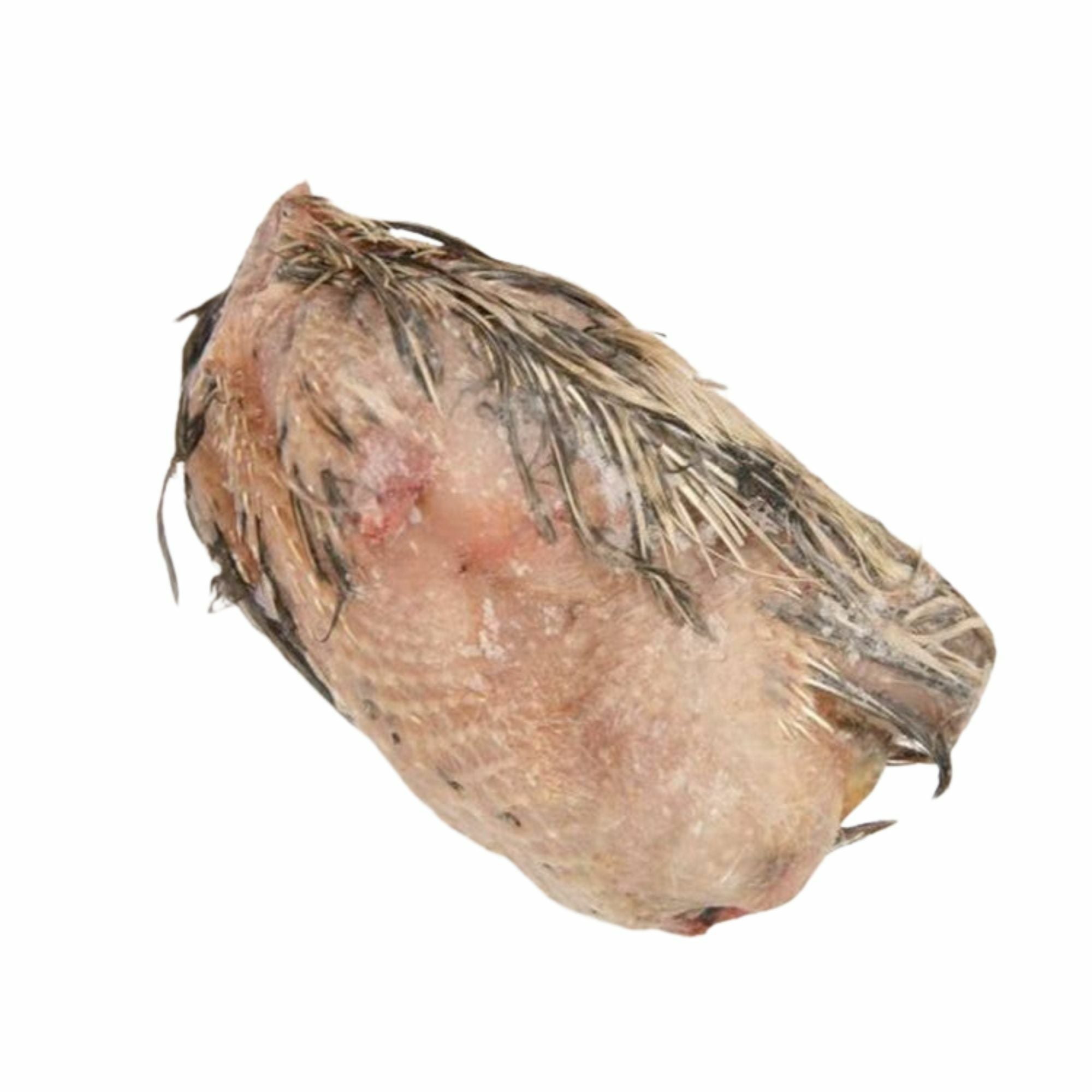 冷凍ウズラ | 月夜野ファームの通販