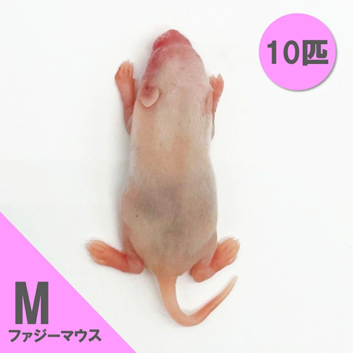 冷凍マウス | 月夜野ファームの通販