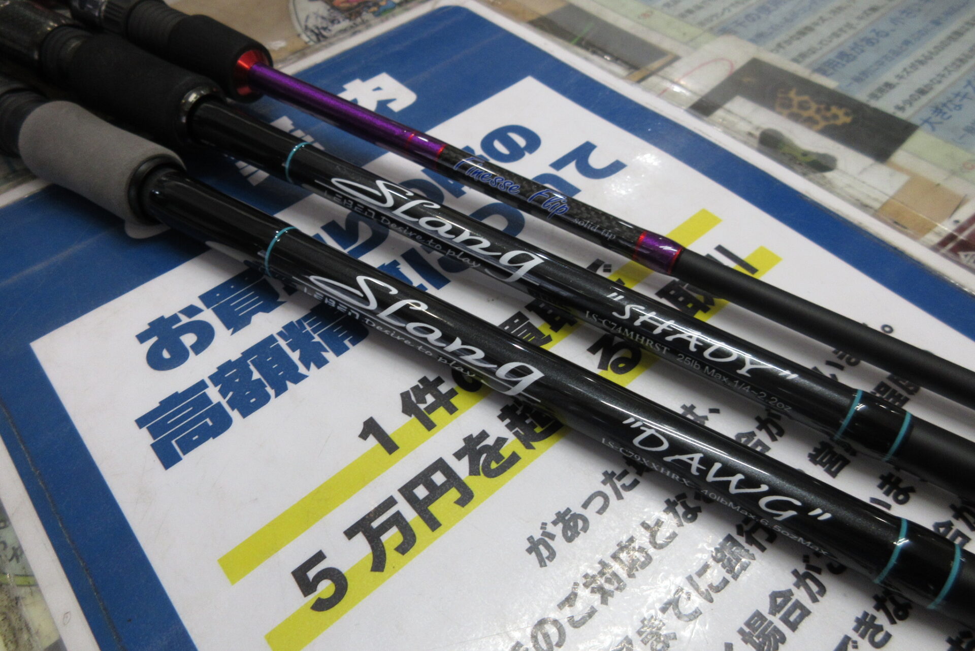 デジーノのレーベンスラングLSーC79XXHRX、レーベンスラング