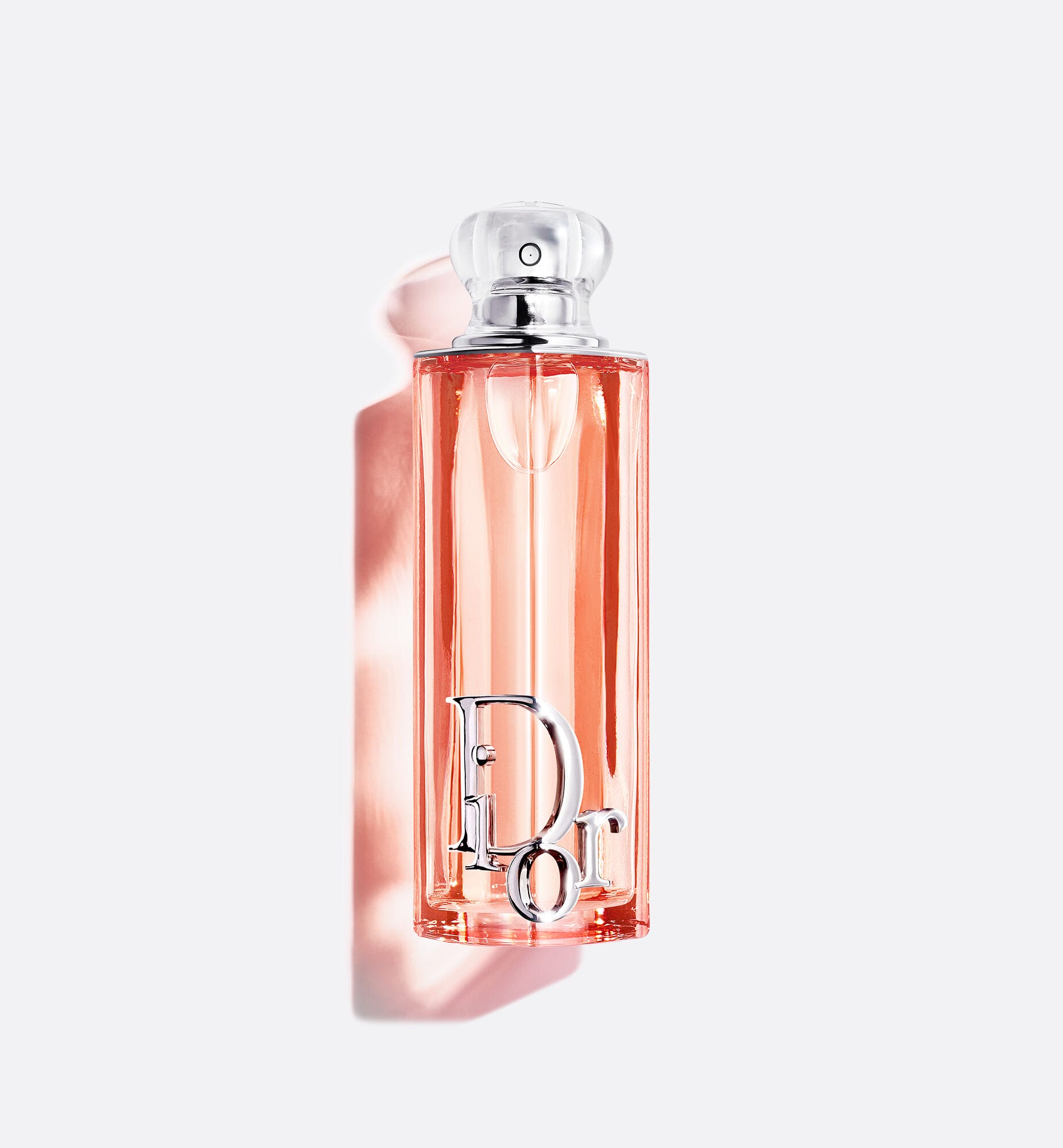 DIOR ADDICT | DIOR TR