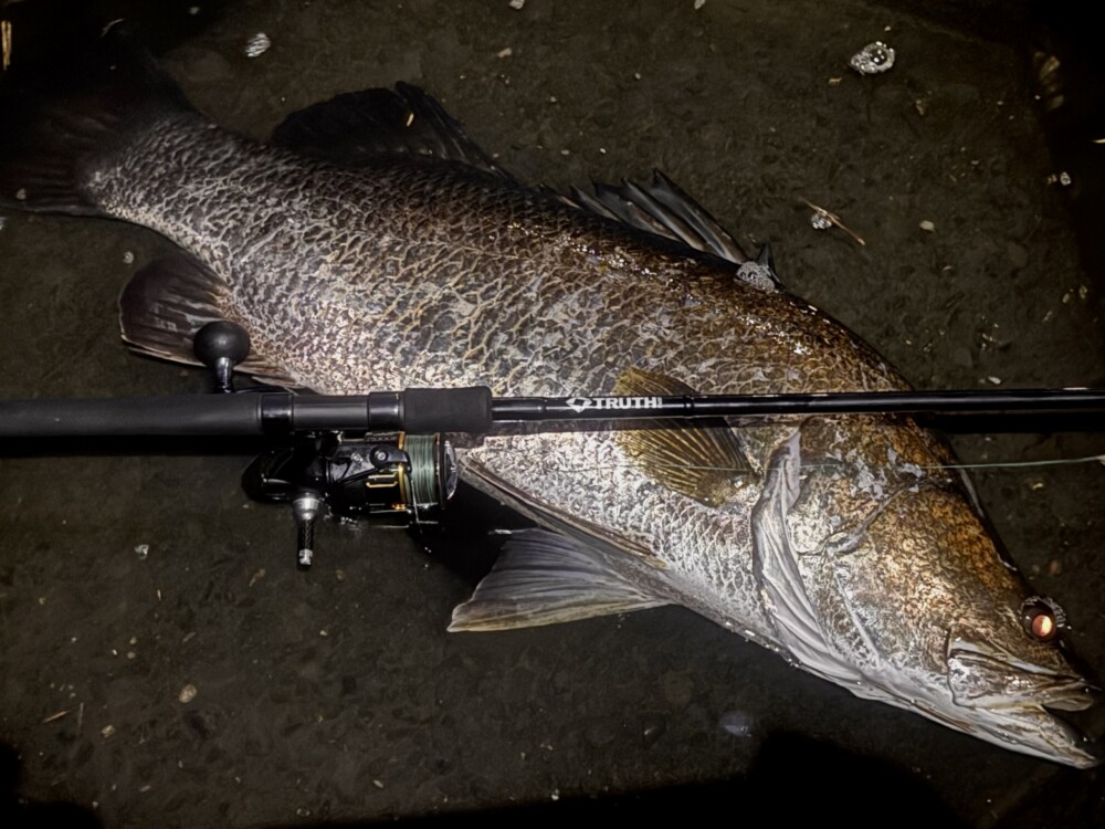 TRUTH AWARD 2025 発表 | TRUTH JAPAN