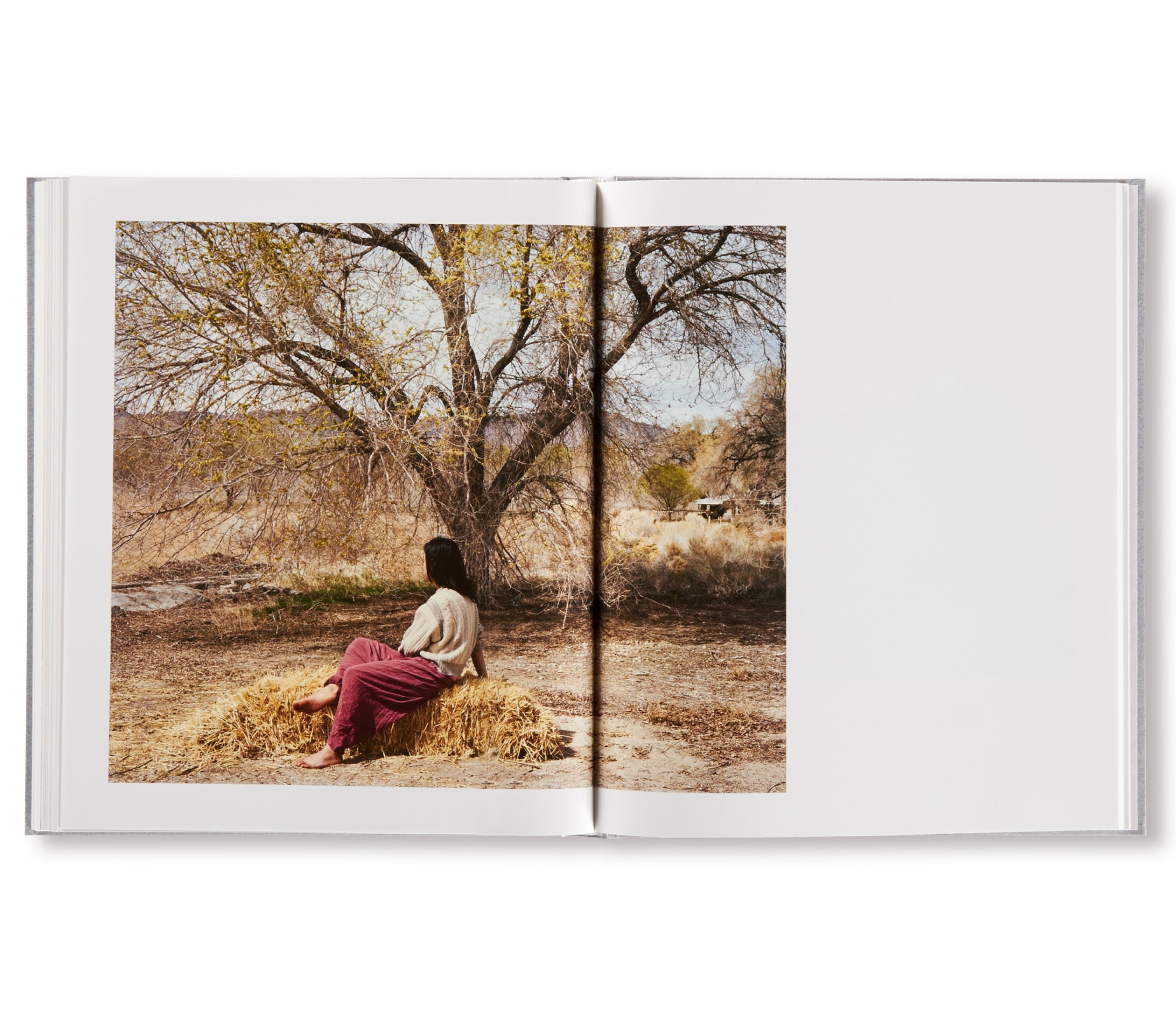 DEEP SPRINGS by Sam Contis – twelvebooks